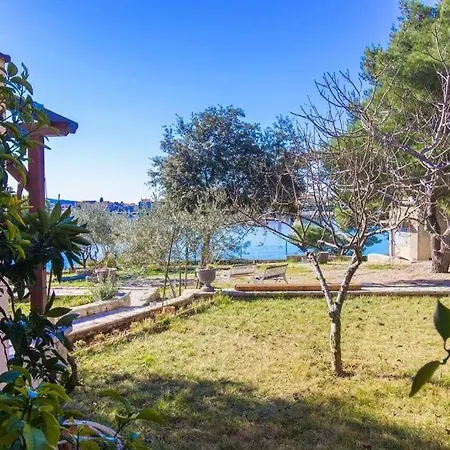 Pansion Zlatna Ribica Guest house