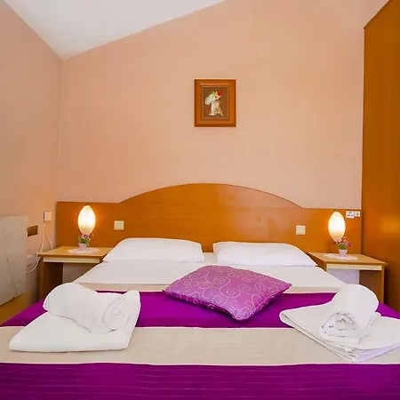 Pansion Zlatna Ribica