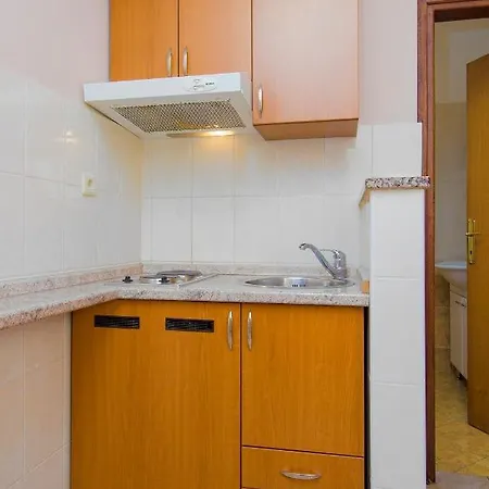 Pansion Zlatna Ribica Guest house