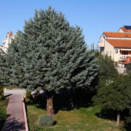 Pansion Zlatna Ribica Guest house 3*