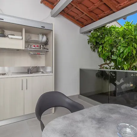 Pansion Zlatna Ribica