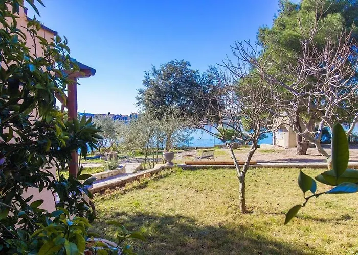 Pansion Zlatna Ribica Maison d'hôtes