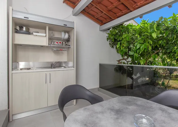 Pansion Zlatna Ribica