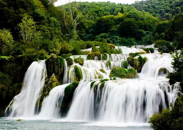 Vendégház Pansion Zlatna Ribica